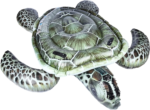 Picture of INTEX Inflatable Realistic Sea Turtle Ride-on - 57555