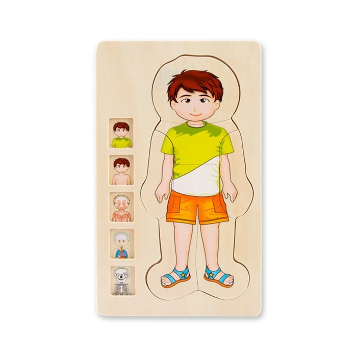 Picture of ONSHINE Multi-Layer Puzzle --Human Body Structure-Boy ( 6331 )