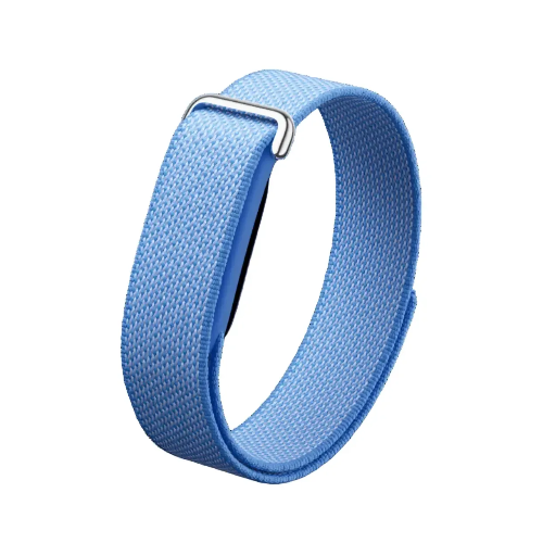Picture of Google Fitbit Air - Lavender