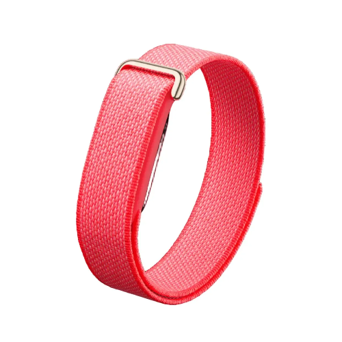 Picture of Google Fitbit Air - Berry
