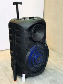 15inch Speaker BT LED Light Speaker With Remote Control and Microphone ZQS-15101 Wireless Speaker
