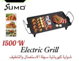 Eectic grill