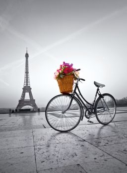 Romantic promenade in Paris - 500 el. - High Quality Collection